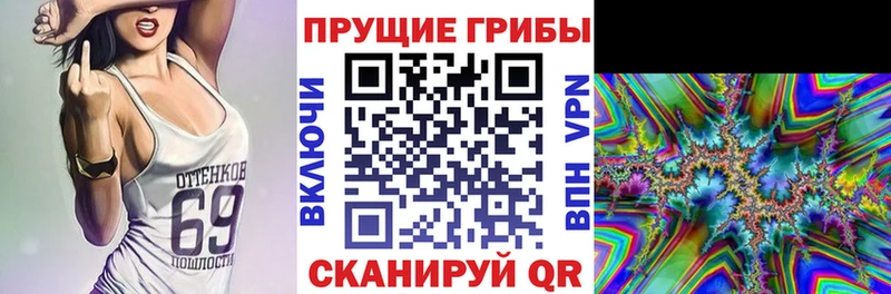 Псилоцибиновые грибы ЛСД  Порхов 