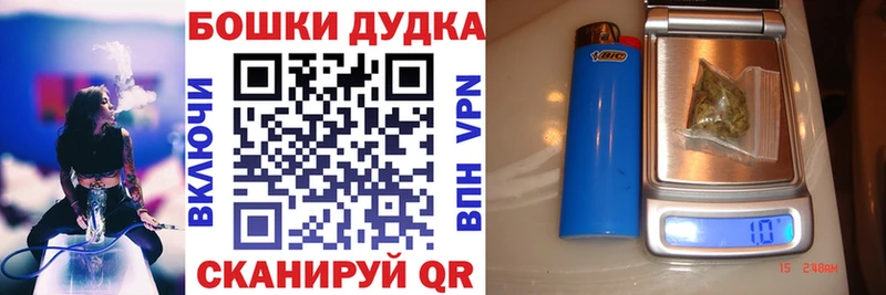Конопля план  где можно купить   KRAKEN зеркало  Порхов 